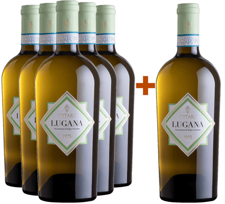 5+1 1975 Lugana DOC