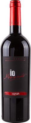 2017 Syrah Veneto IGP