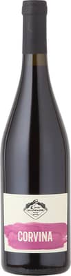 2020 Corvina Veneto IGP