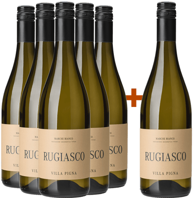 5+1 Rugiasco Marche IGP 
