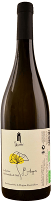 2023 Verdicchio dei Castelli di Jesi DOC BIO