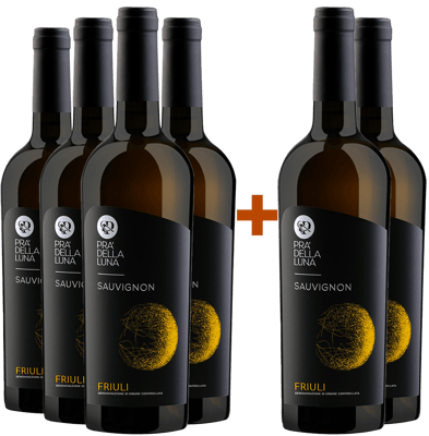 4+2 Sauvignon Friuli DOC