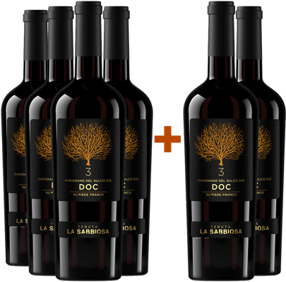 4+2 Carignano del Sulcis DOC