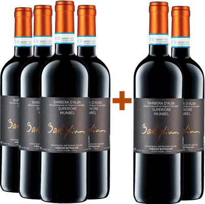 4+2 Munbèl Barbera d'Alba Superiore DOC 