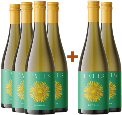 4+2 2022 Talis Sauvignon Friuli DOC