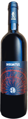 2015 Indomitus Riserva BIO