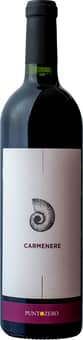 2019 Carmenere Veneto