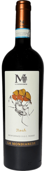 2019 "Noah" Monferrato DOC Rosso