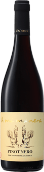 Pinot Nero Veneto IGP
