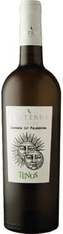 2024 Centènus - Campania Falanghina IGP