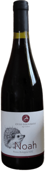 2023 Noah Colli Bolognesi DOC