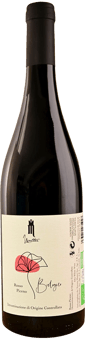 2023 Rosso Piceno DOC BIO