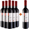 5+1 Malena Rosso Ciró Classico DOC