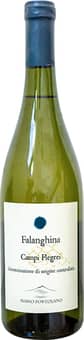 2024 Falanghina Campi Flegrei DOC