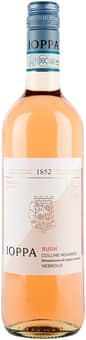 2025 Nebbiolo Rosato Colline Novaresi DOC