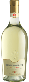 2025 Terre dei Grifi Cuvée Frascati DOC