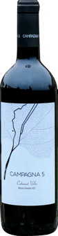 2022 Cabernet Volos Veneto IGP