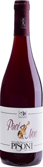 2022 Pinot Nero Vigneti delle Dolomiti IGP BIO