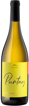 2021 Puntay Chardonnay Alto Adige DOC