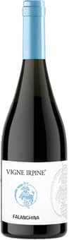 2024 Falanghina Irpinia DOC