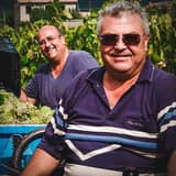 Castelle - Viticultori in Castelvenere