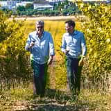 Tenuta Antonini Alessio