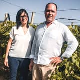 Gurrieri - Azienda Agricola Battaglia Graziella