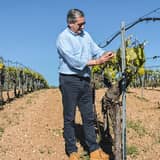 Marchesi di Rampingallo