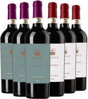 Scopri tutti i vini premiati dal Gambero Rosso