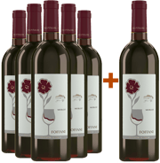 Aquileia DOC in promozione 5+1