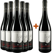 Un Cabernet tutto Piemontese