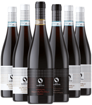 Scopri la Valpolicella secondo Corte Saibante