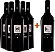 Il nobile Vermentino in promozione 5+1