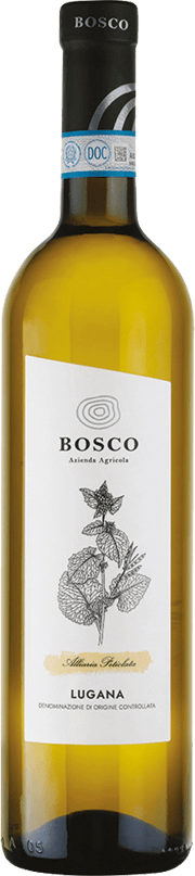 Scopri la freschezza dei vini del lago
