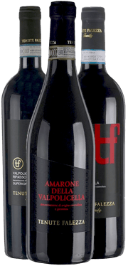 Scopri la Valpolicella con questa degustazione