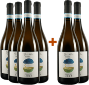 Grillo Sicilia DOC in promozione!