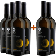 Sauvignon Blanc, la perla del vecchio mondo
