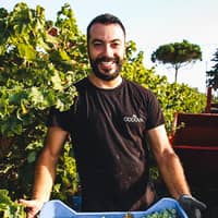 Oddo Vini