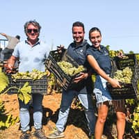 winery tola team harvest Tola