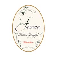 Fassino Giuseppe
