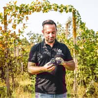 Bogge Wine