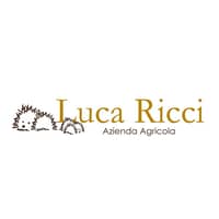 Luca Ricci