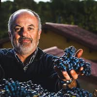 Valdipiatta