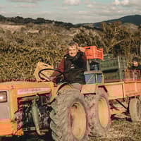 Tenuta Vitagliano