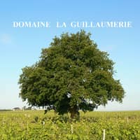 Guillaumerie