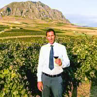 Guastella