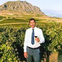 Guastella