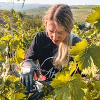 Viv Winery