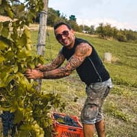Il Vino e le Rose