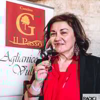 Il Passo